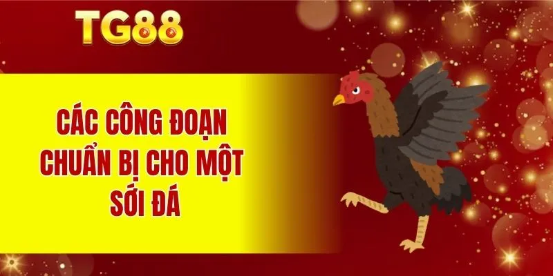 Các công đoạn chuẩn bị cho một sới đá