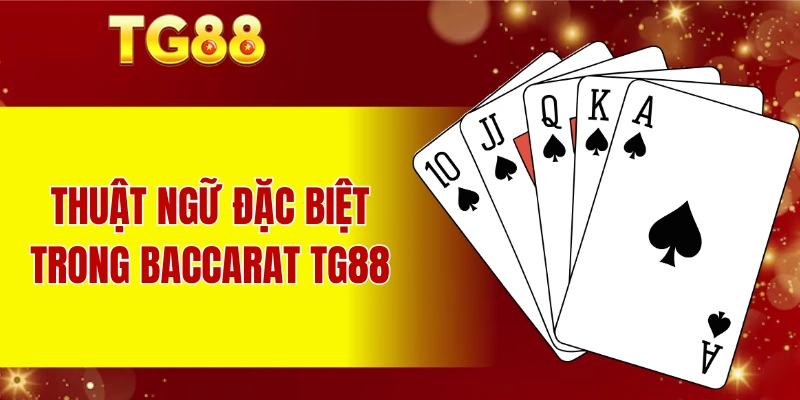Những thuật ngữ đặc biệt trong Baccarat TG88