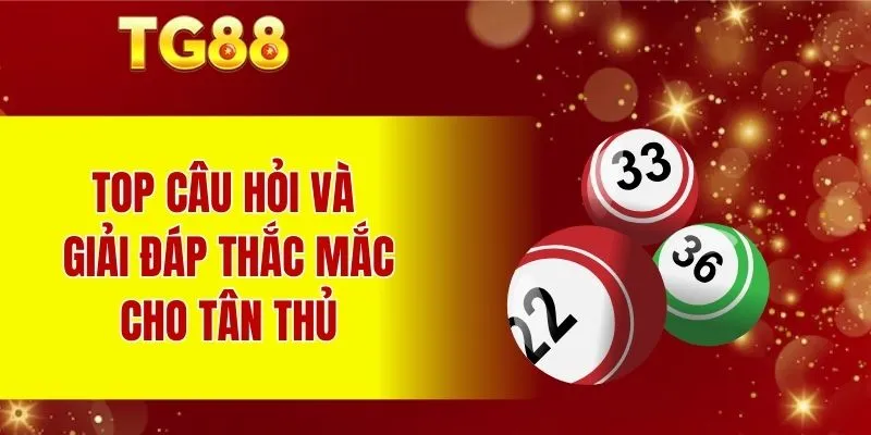 Top câu hỏi và giải đáp thắc mắc cho tân thủ